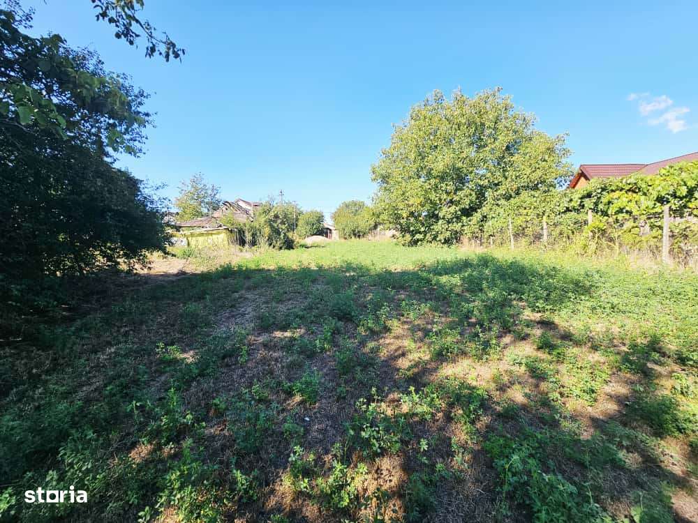 Teren intravilan 1.585 mp, cu utilități la hotar –Gherghița–Ungureni-2