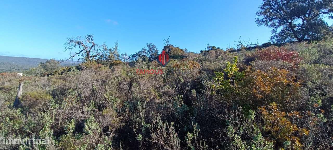Terreno Rústico com 16 000 m2 em Paderne Algarve - Grande imagem: 2/11