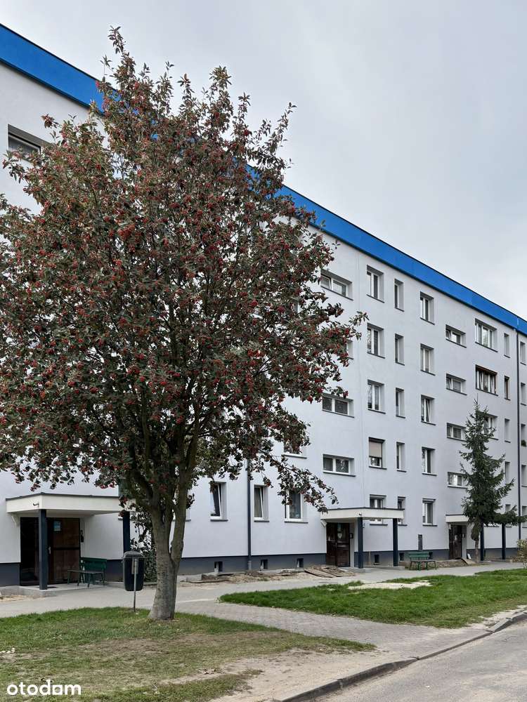 Komfortowe 3-pokojowe mieszkanie, Wschowa-15