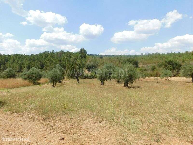 Terreno / Covilhã, Barco - Grande imagem: 5/13