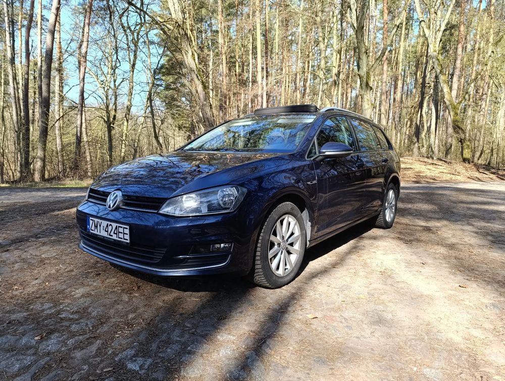 Volkswagen Golf VII 2.0 TDI BlueMotion Technology Lounge 2015