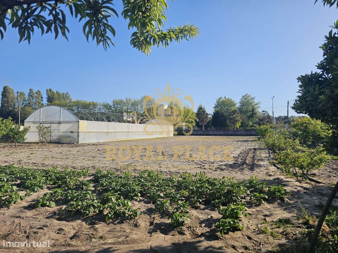 Terreno para Construção Furadouro-5