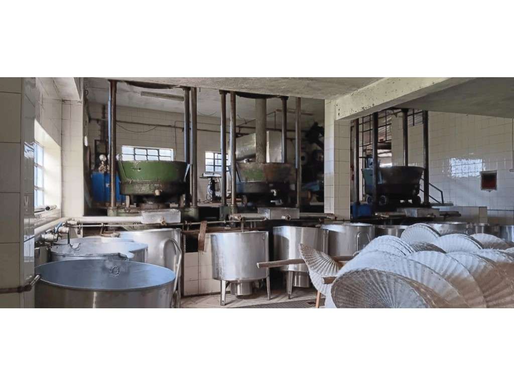 Armazém destinado à produção de azeite- Lagar em Castelo, Mação - Grande imagem: 4/9