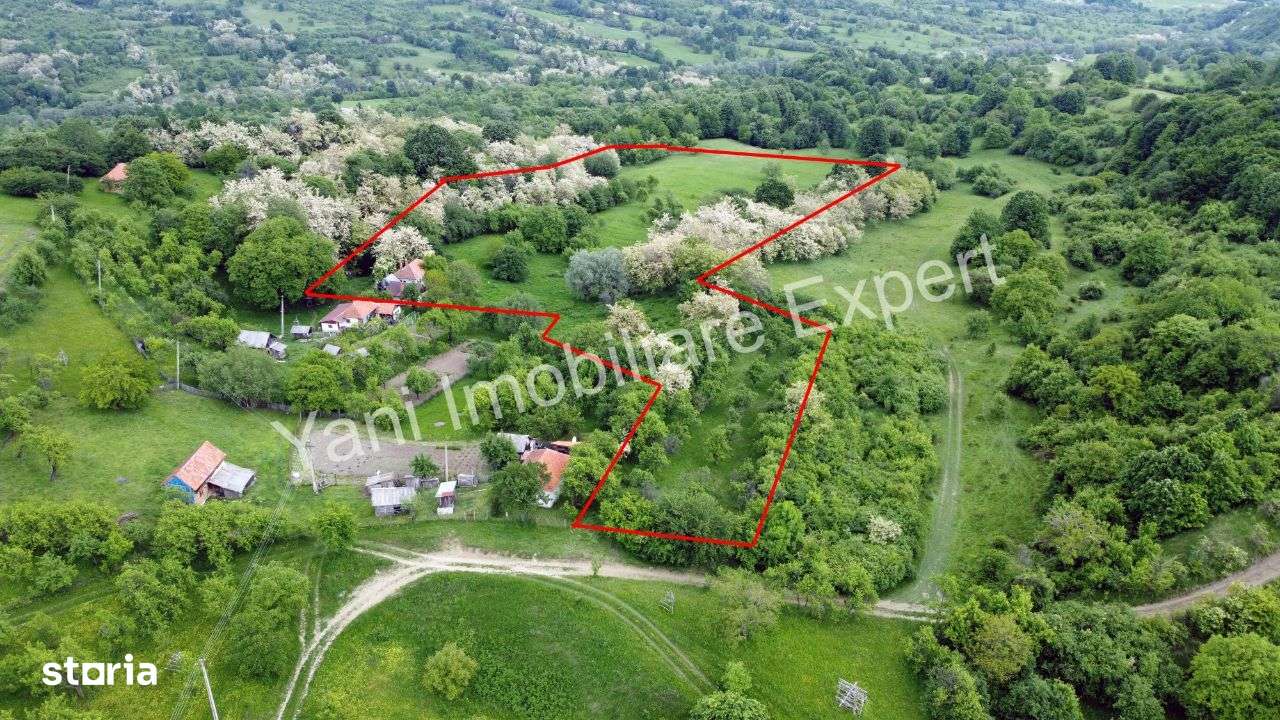 Teren de vânzare în comuna Tigveni, sat Blaju ( 34.600 mp ) - Imagine principală: 1/13