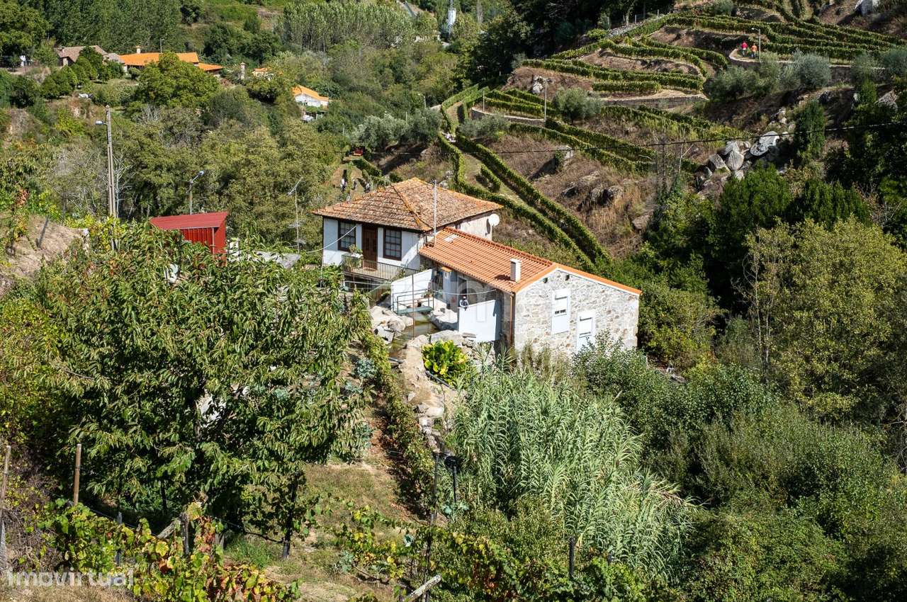 Casa de Habitação + 3 Moinhos de Água - Centro de Lamego - Grande imagem: 2/19
