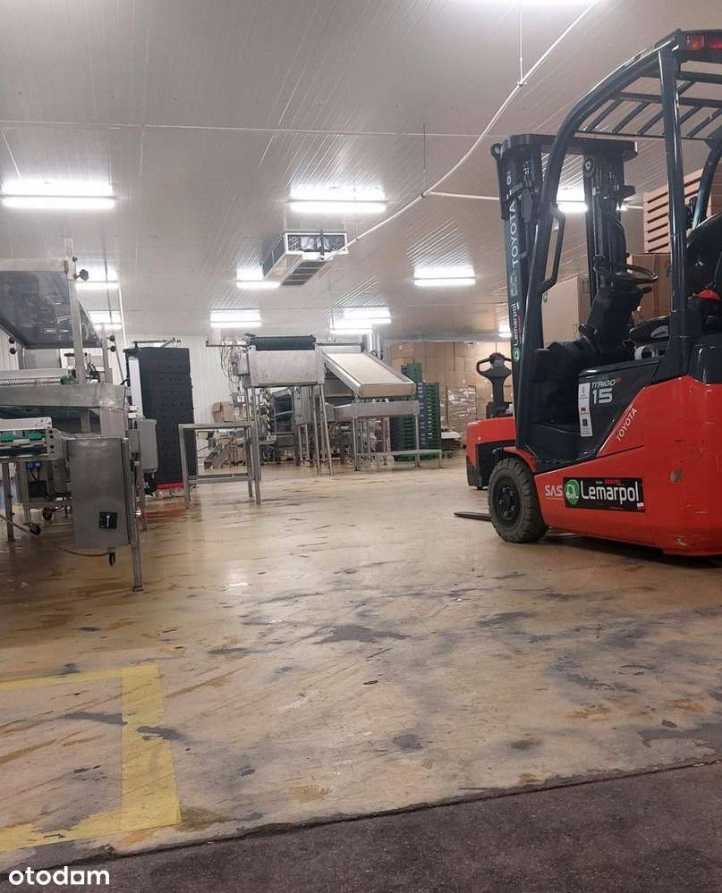 Hala sprzedaż Warszawa Targówek magazyn, chłodnia-10