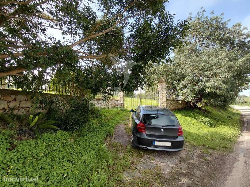 Terreno Rústico, 4.920 m², Perto de Olhão e Faro - Grande imagem: 4/6