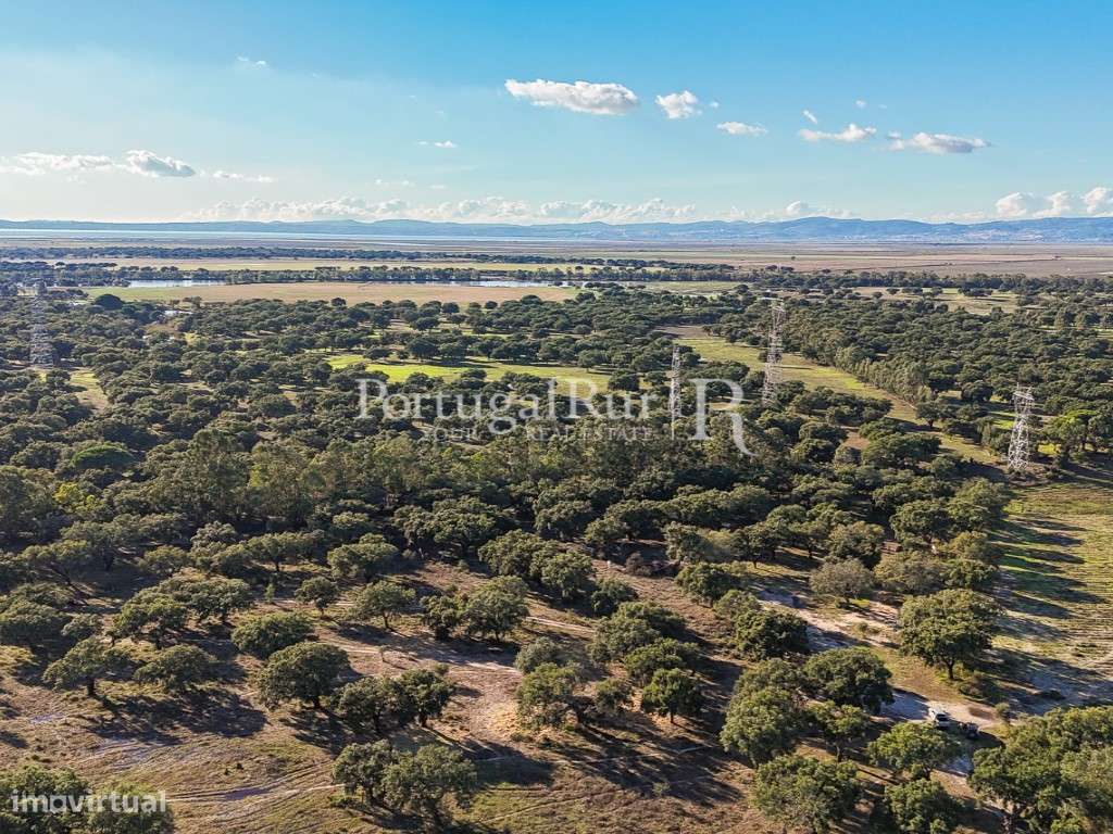 Herdade de 60 hectares para criação bovina e equina perto de Lisboa-32