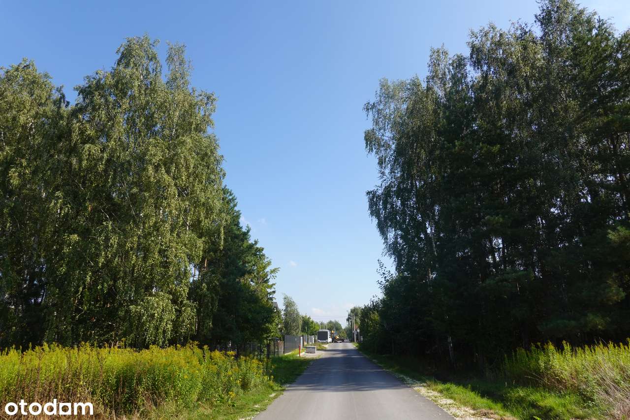 Piękna, zalesiona dzialka budowlana, Stare Babice, 709 m2 - Pełny obrazek: 5/8