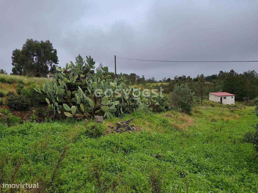 Casa Independente na aldeia de São Domingos próximo de Sarzedas - Grande imagem: 4/40