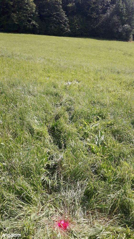 Sprzedam działkę budowlaną - Pełny obrazek: 4/6