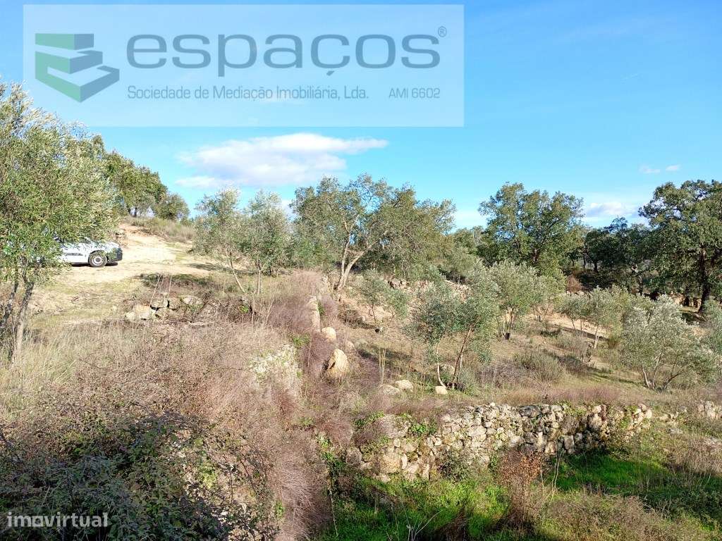 Terreno Rústico a 15 minutos de Castelo Branco-5