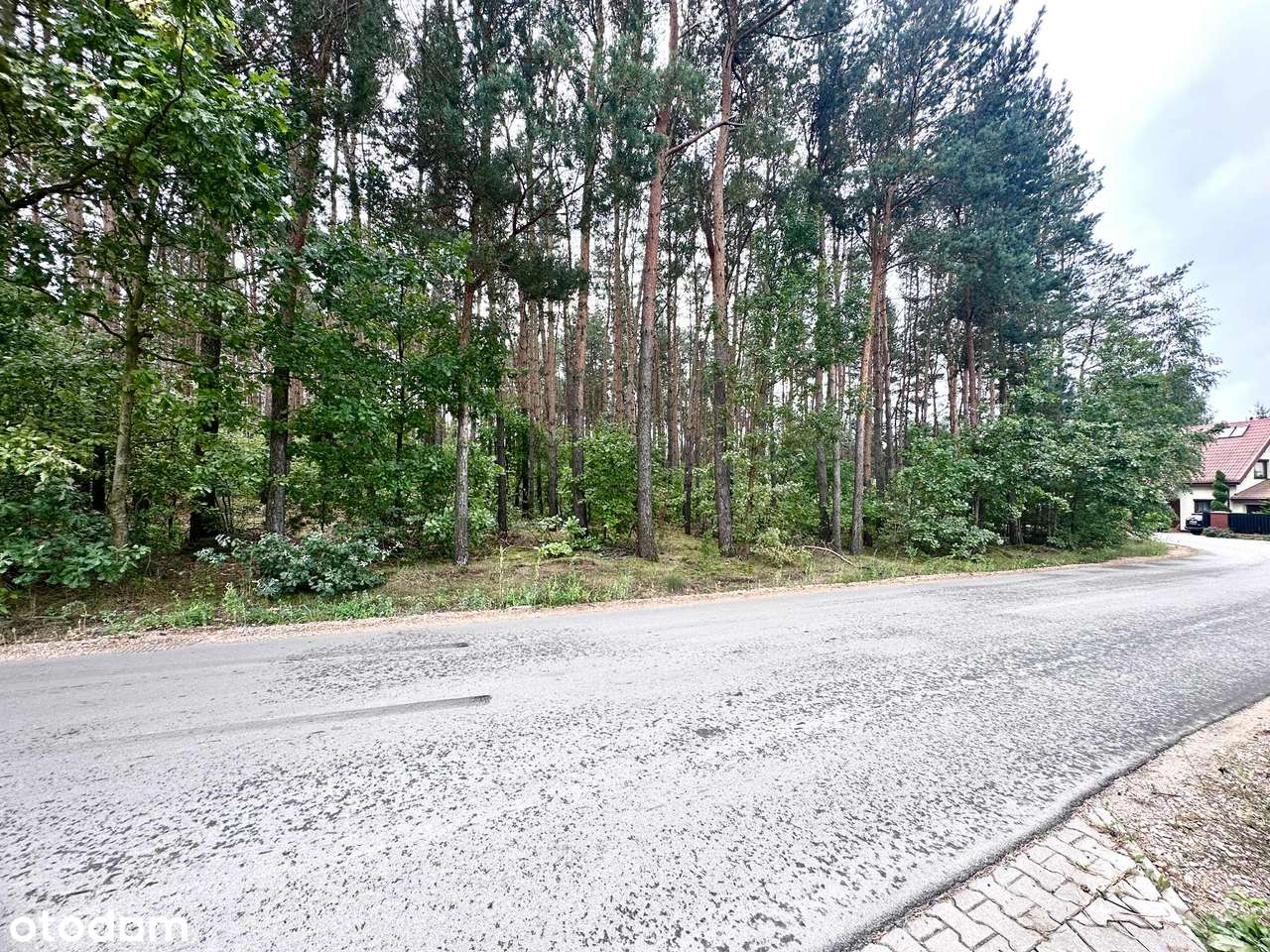 Dom w spokojnej, zielonej okolicy – Stok Lacki-11