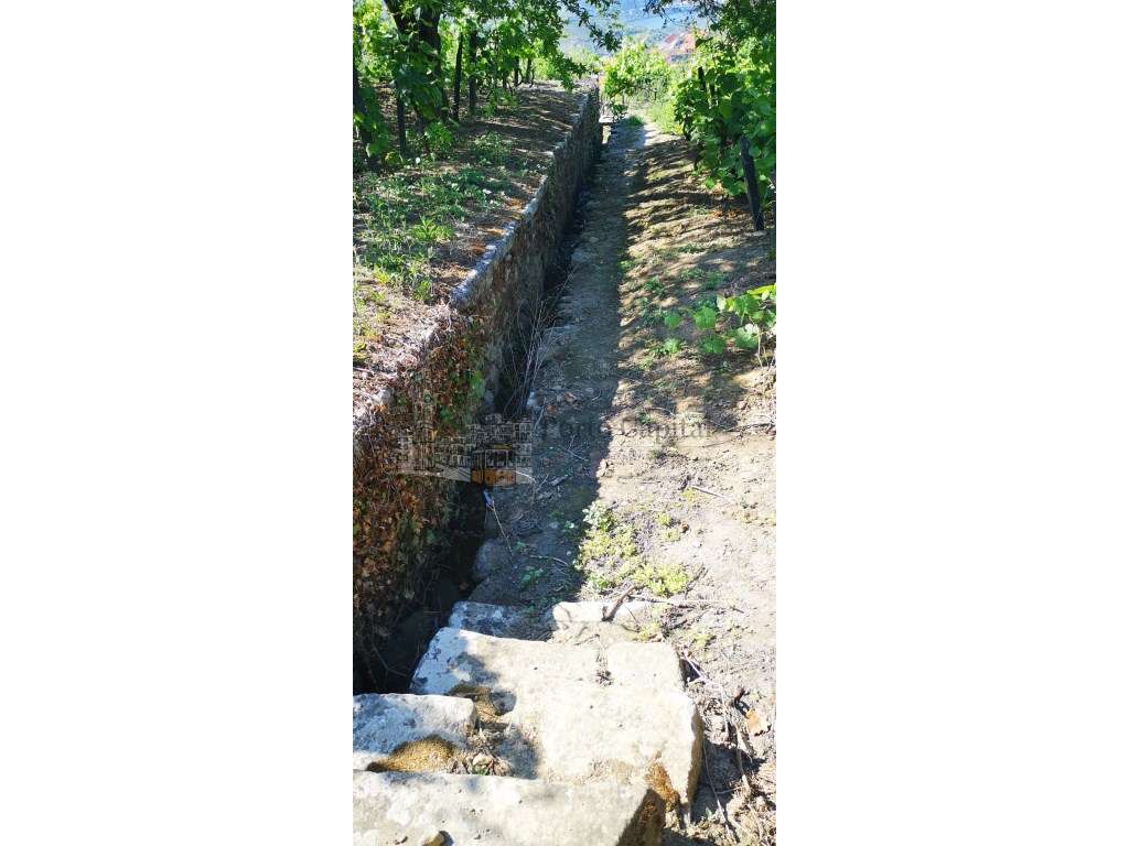 Quinta no Douro com Vista Rio - Grande imagem: 5/26