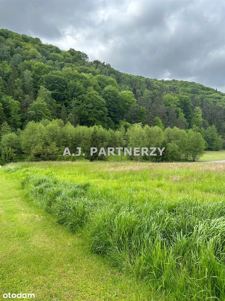 Działka budowlana 31 ar koło Łapanowa-5