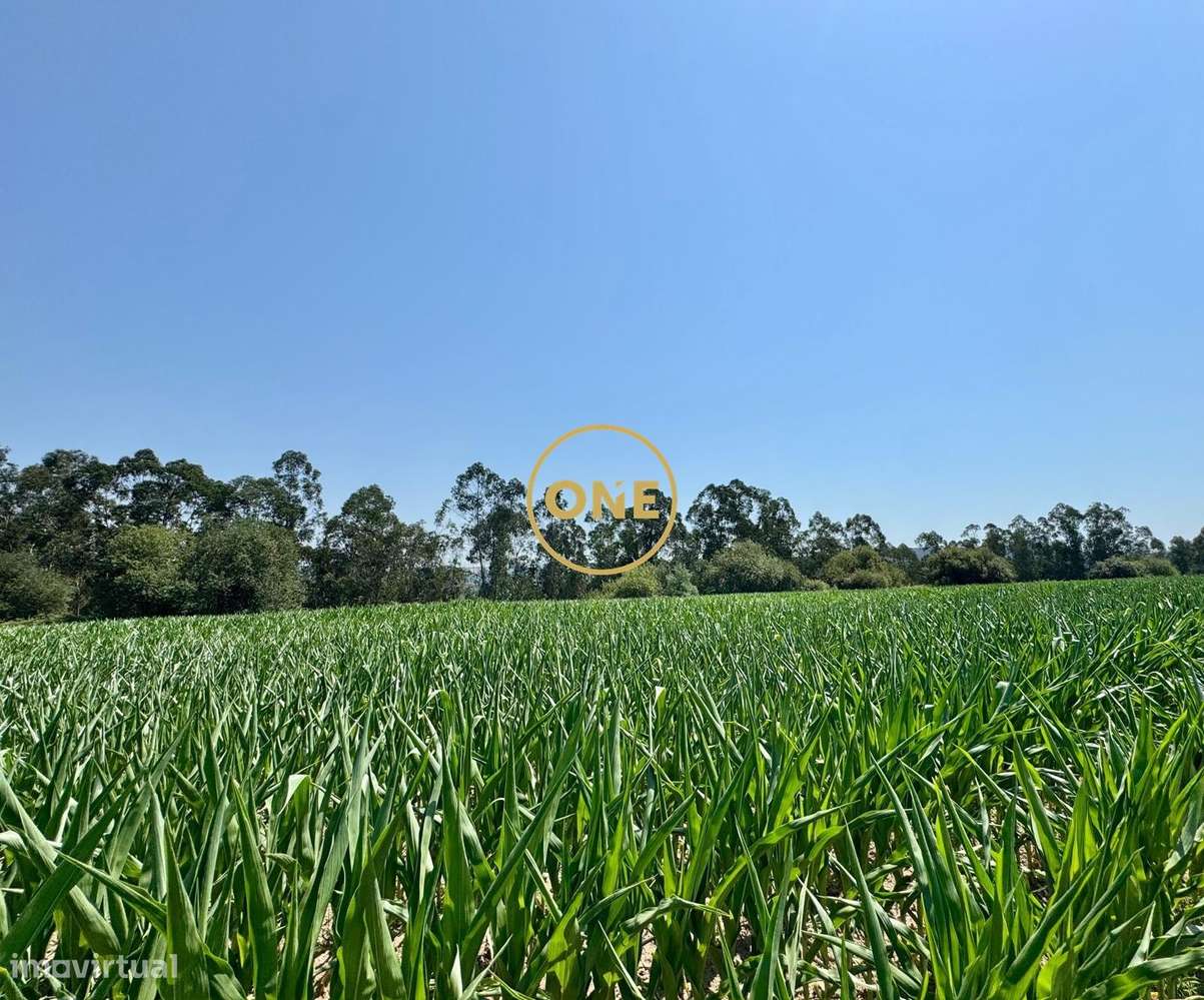 Terreno rústico com viabilidade de construção em Covelas, Trofa-5