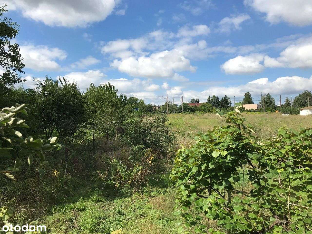 ROKIETNICA | dom do remontu/rozbudowy/rozbiórki-14