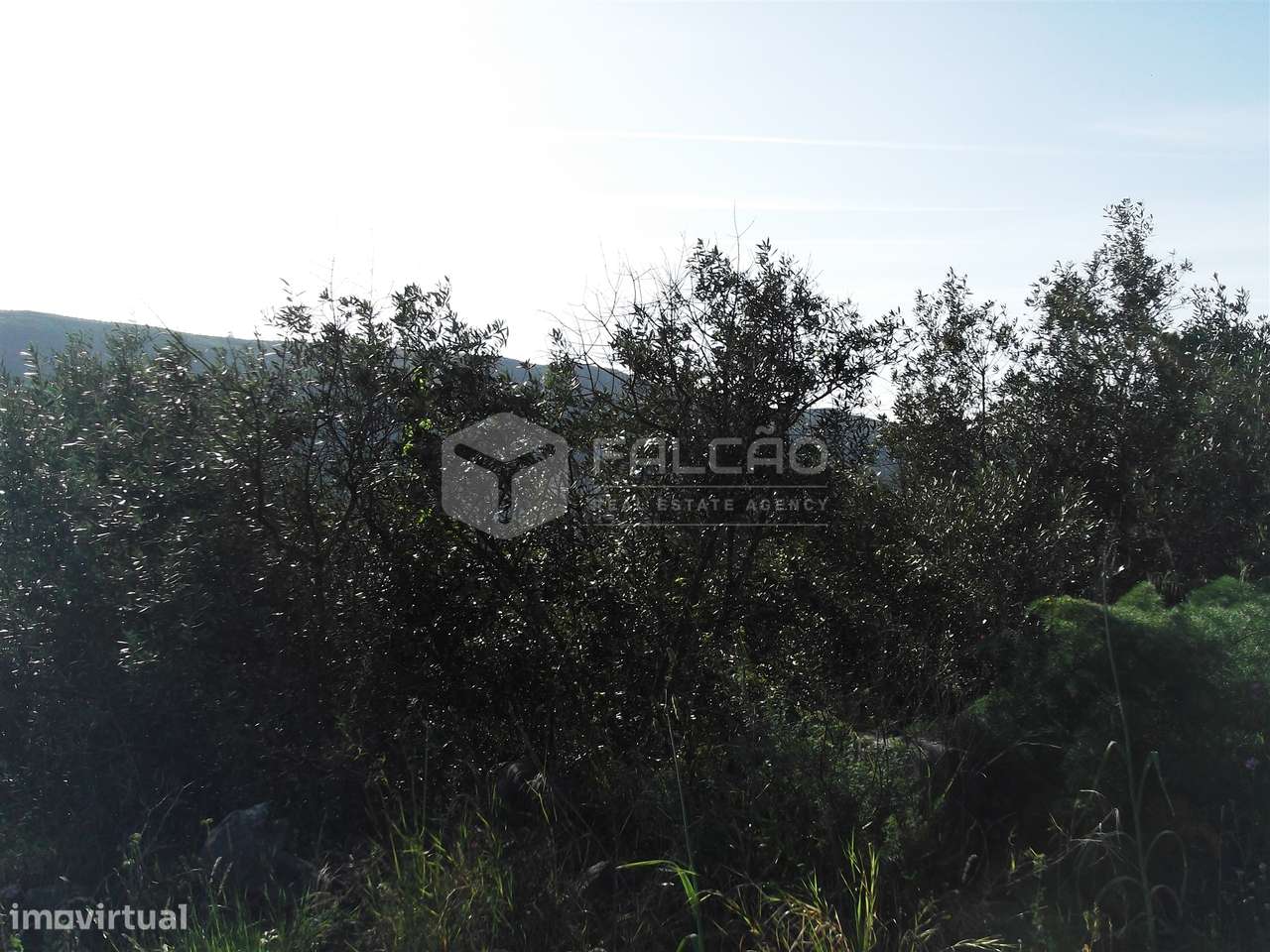 Terreno  Venda em Mira de Aire,Porto de Mós - Grande imagem: 3/12