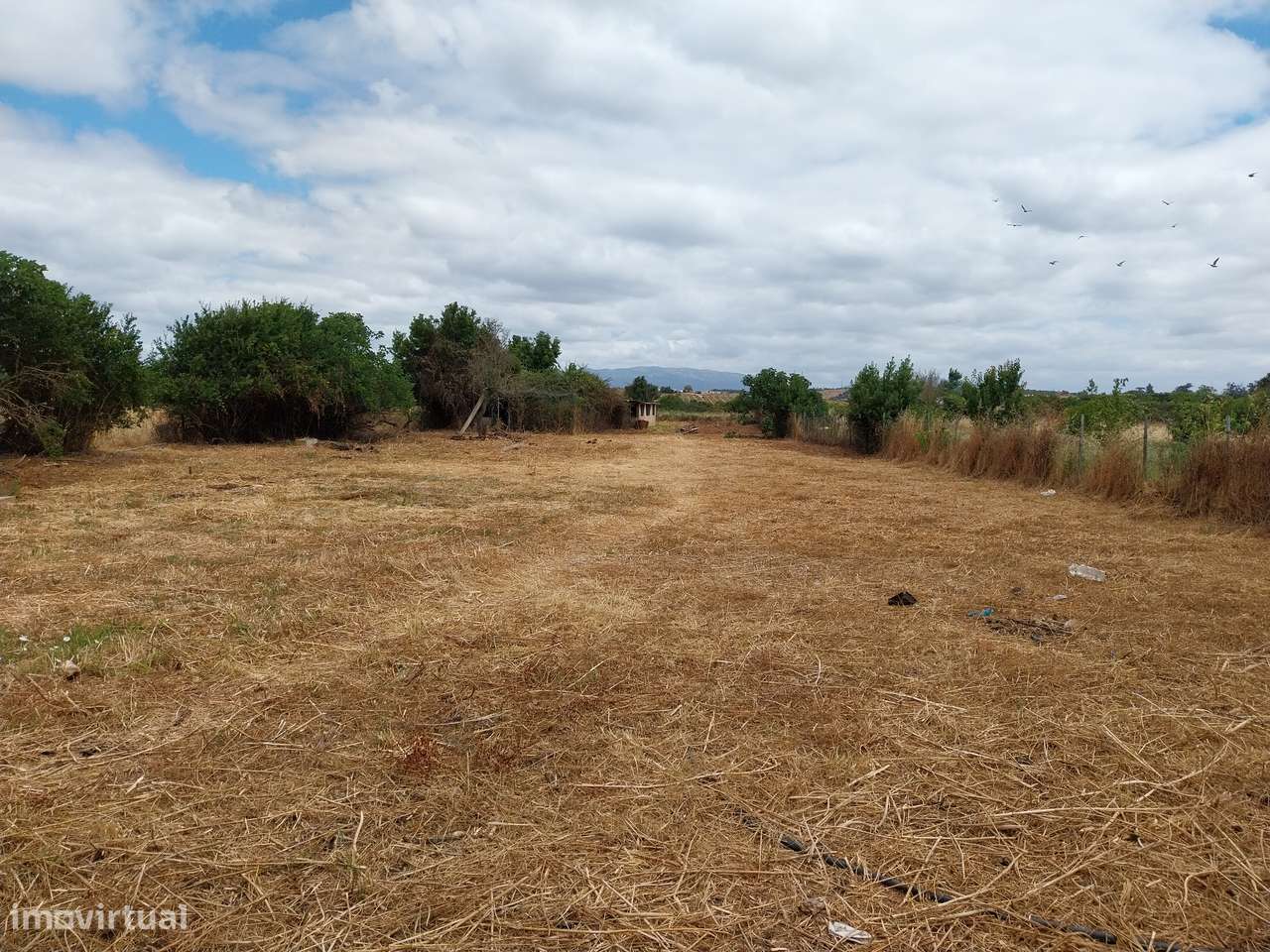 Odiaxere,Quinta 4440 m2 ,casa, horta, estábulos,300m lojas e Cafe - Grande imagem: 5/16