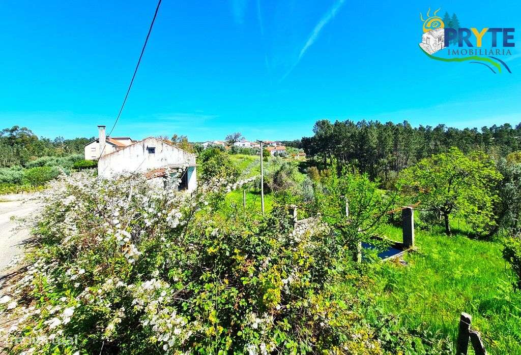 Quinta para recuperar situada a poucos minutos da Vila da Sertã - Grande imagem: 4/37