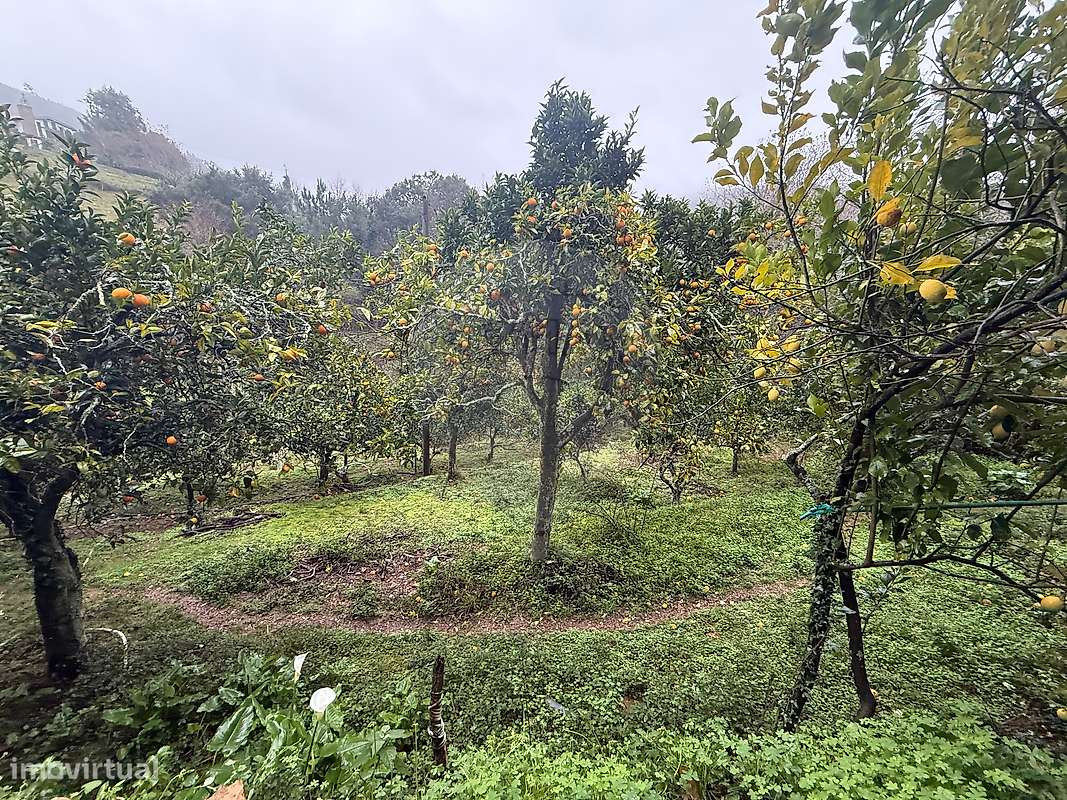 Terreno  para venda - Grande imagem: 4/4