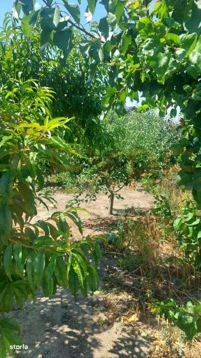 Casa de vanzare in centrul Cobadinului, COMISION 0% - Imagine principală: 2/19