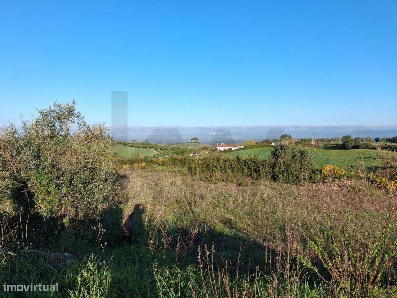 Venda moradiia T3 com terreno de 11.520m2, Isolada com piscina em A-6