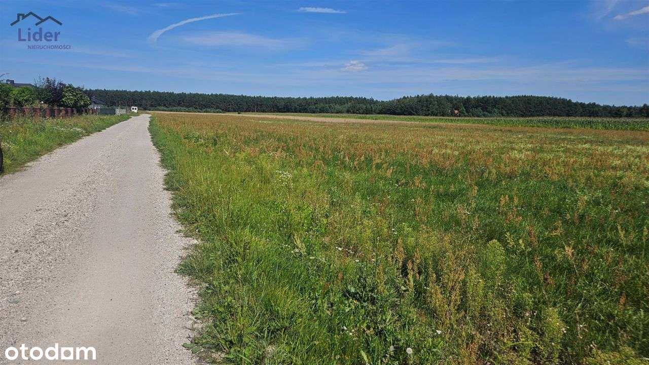 Dwie działki pod bud. domu, Kopanino-0