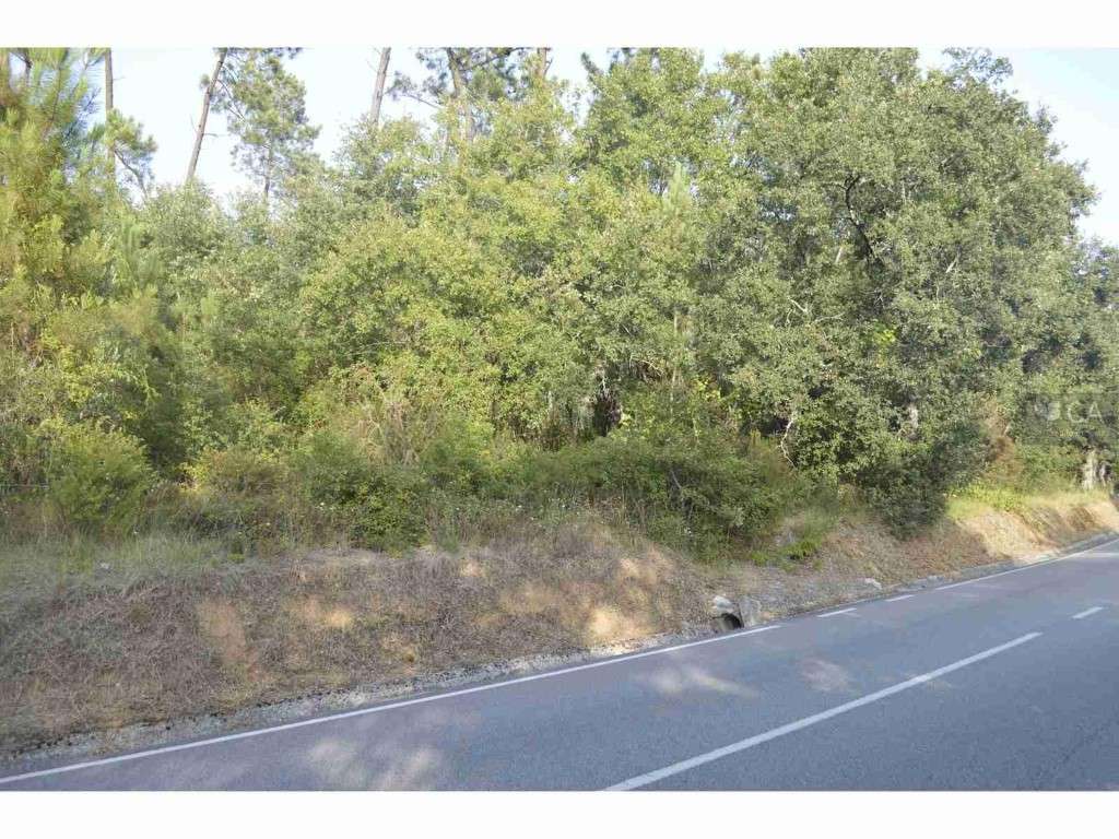 Terreno - Grande imagem: 5/7