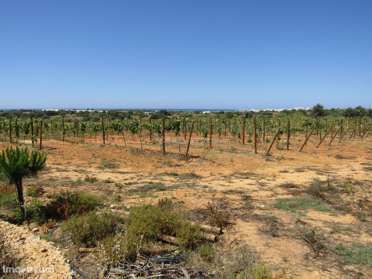 Terreno Rústico com 27430 m2 nas Areias de Pêra