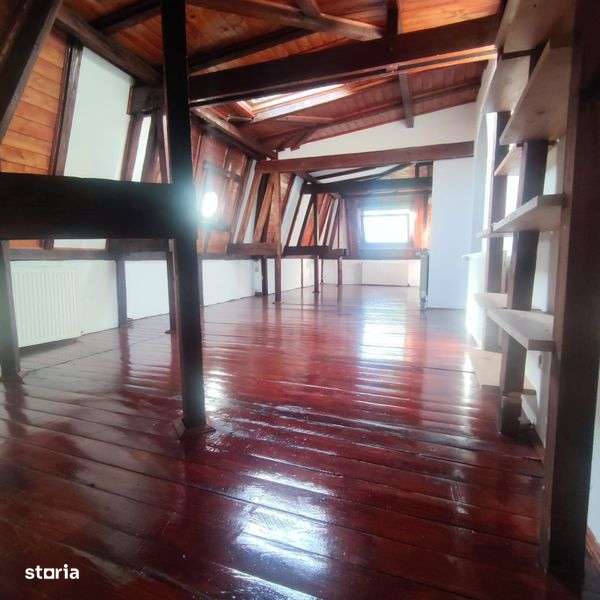 Gradina Icoanei apartament in vila interbelica