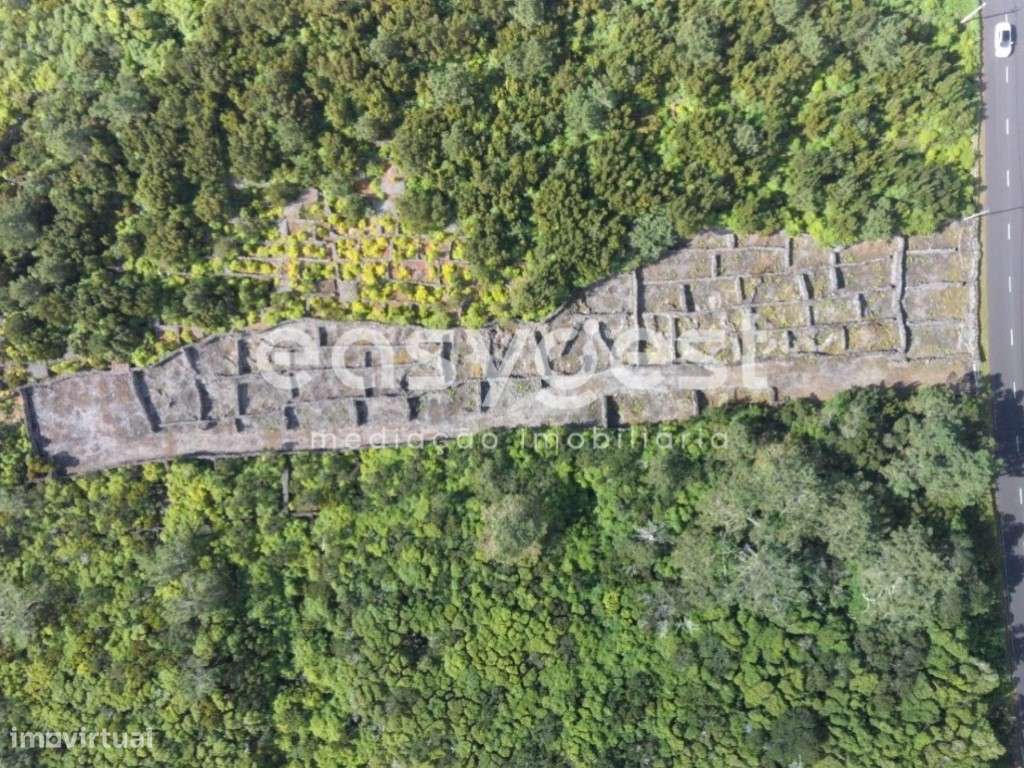Terreno com 7000m2 na freguesia da Candelária, ilha do Pico - Grande imagem: 4/19