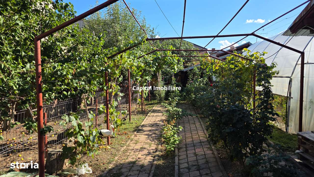 Casă + spațiu comercial la stradal, teren – 459 mp - Imagine principală: 2/5