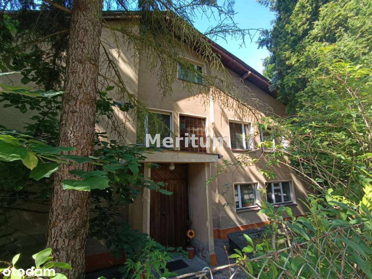 Ostromecko, os. Zabasta. Z potencjałem. - Pełny obrazek: 3/20