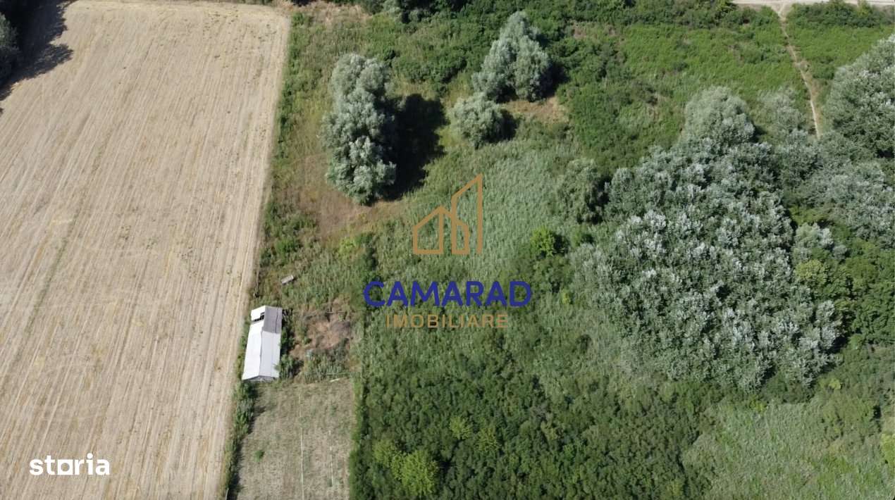 Teren de vanzare - deschidere la Dunare -Baltenii de Sus, comuna Beste - Imagine principală: 5/9