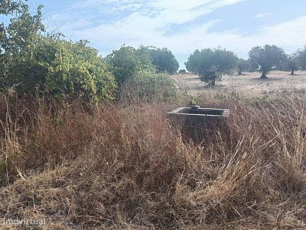 Terreno  para venda - Grande imagem: 5/26