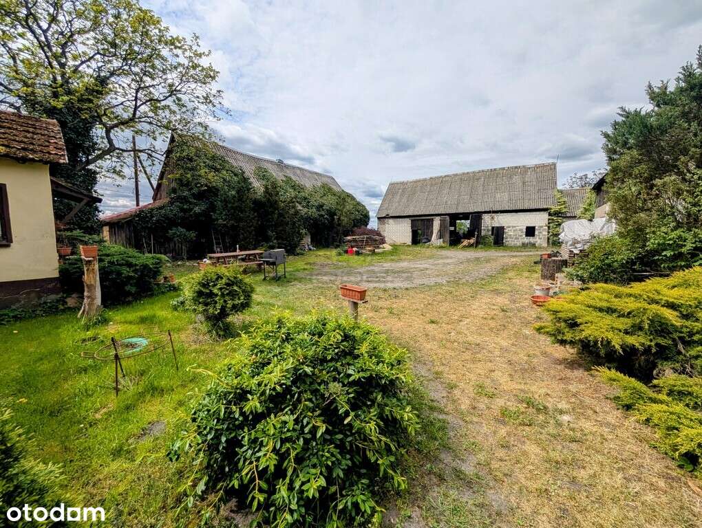 Duży przedwojenny dom jednorodzinny - Pławin-15