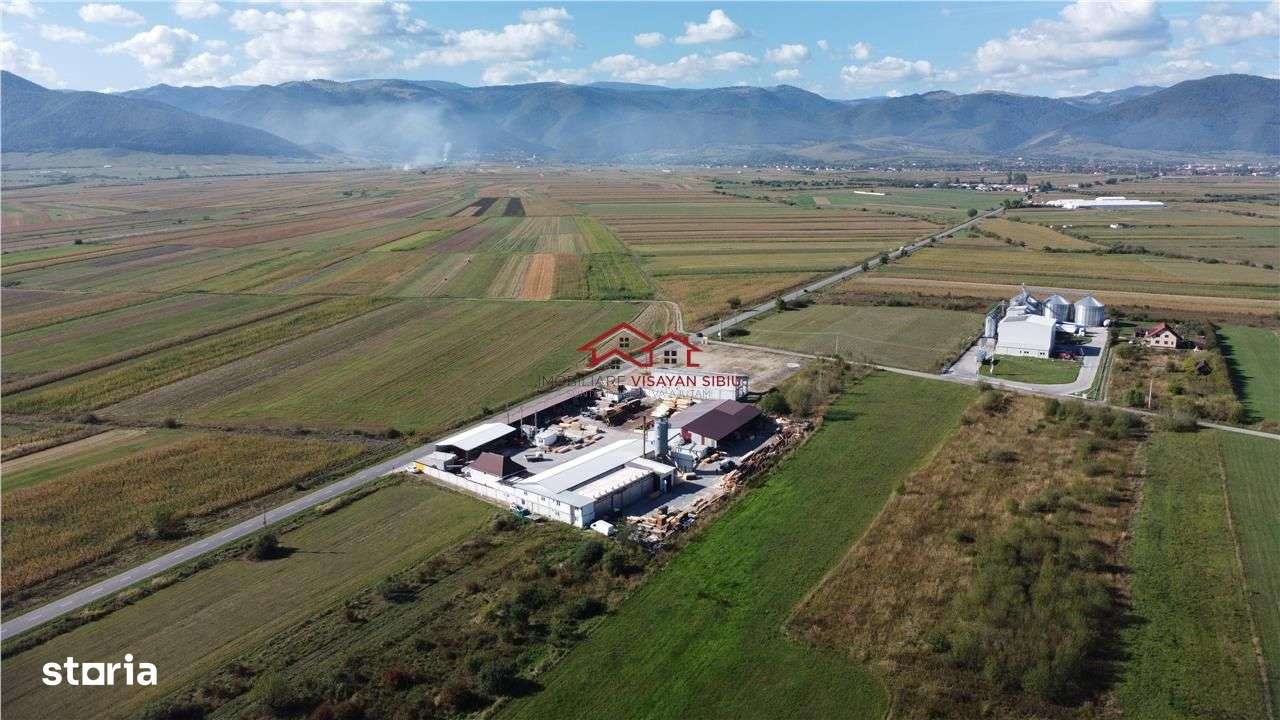 Oportunitate investi&#539;ie prelucrare lemn, Cristian,jud.Sibiu-4