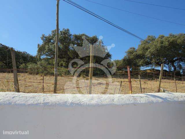 Moradia T3 na Encosta de Monsaraz com Quintal-22