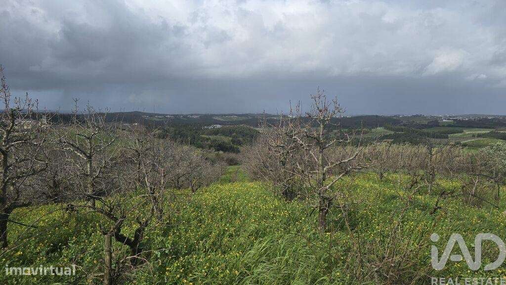Terreno em Vilar - Grande imagem: 4/7