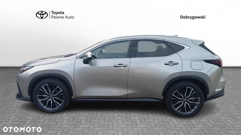 Lexus NX - 2