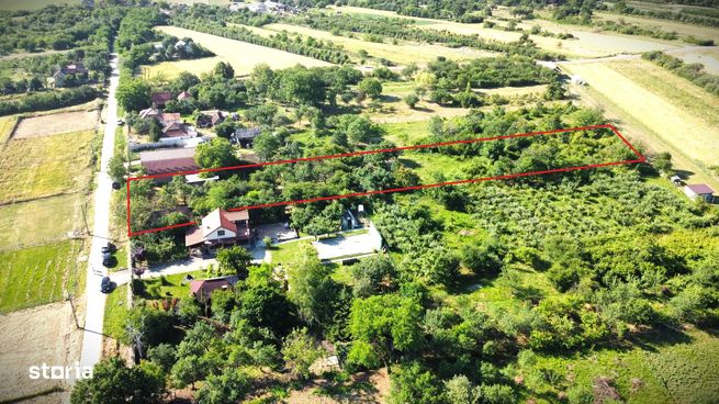 Teren generos cu potențial-Viile Satu Mare-Strada Iepurilor-4
