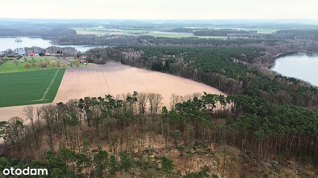 Twoja enklawa wśród lasu i jezior-11