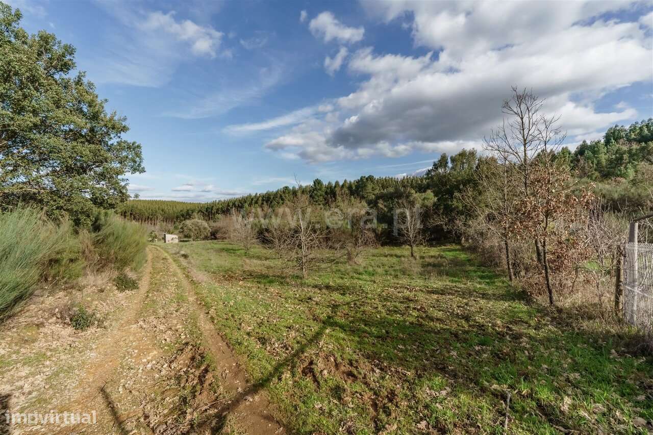 Terreno com ruina / Fundão, Fatela - Grande imagem: 4/18
