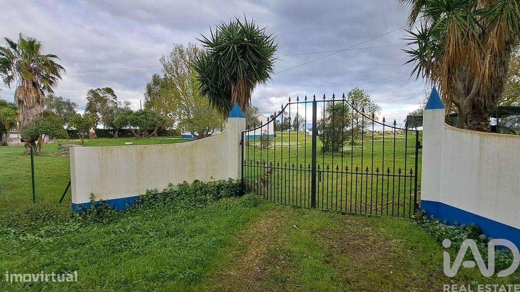 Quinta T2 em São Domingos de Ana Loura-19