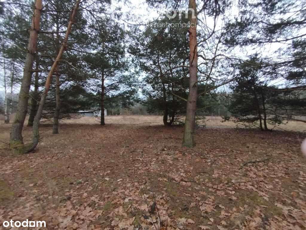 Grunt inwestycyjny w Sulejówku ! 1Ha budowlany - Pełny obrazek: 1/6