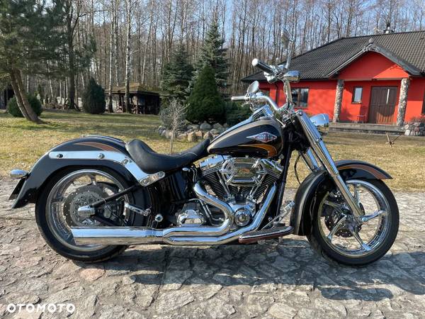 Harley-Davidson Softail - 2