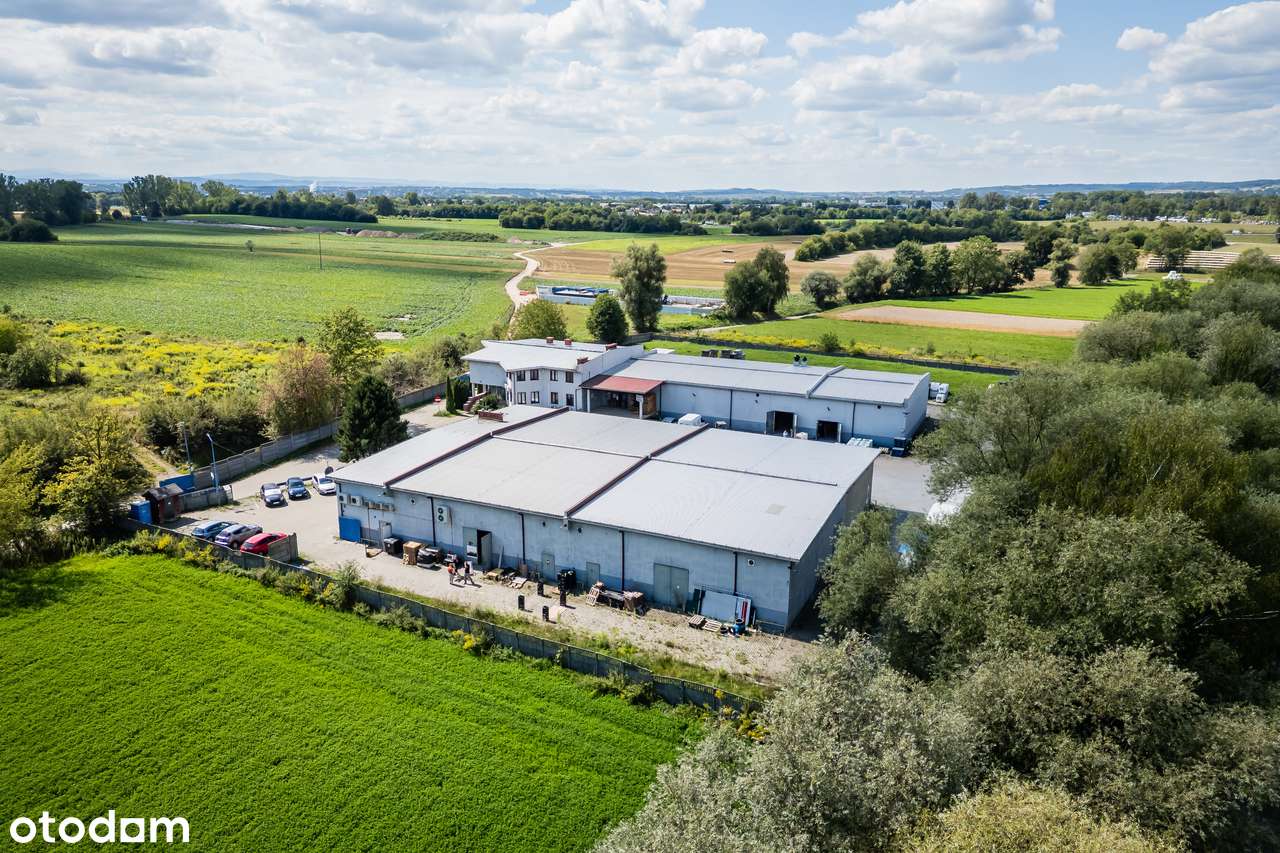 Kompleks handlowo–administracyjny – Kraków, Olszanica - Pełny obrazek: 2/11