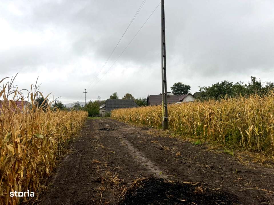 Adresa in Romania-  casa batraneasca demolabila cu 2050 mp teren-16
