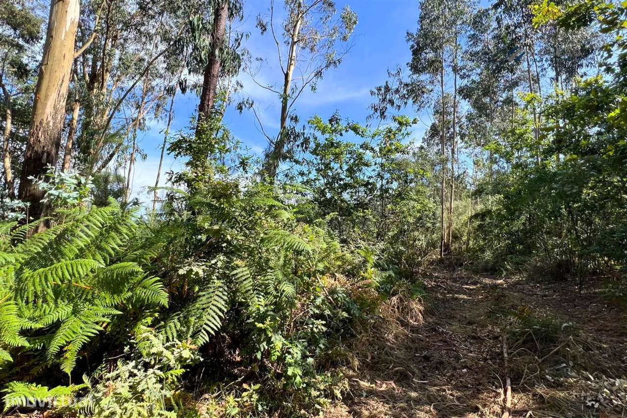 Terreno Rústico com 1400m2 em Lamoso, Paços de Ferreira - Grande imagem: 5/18